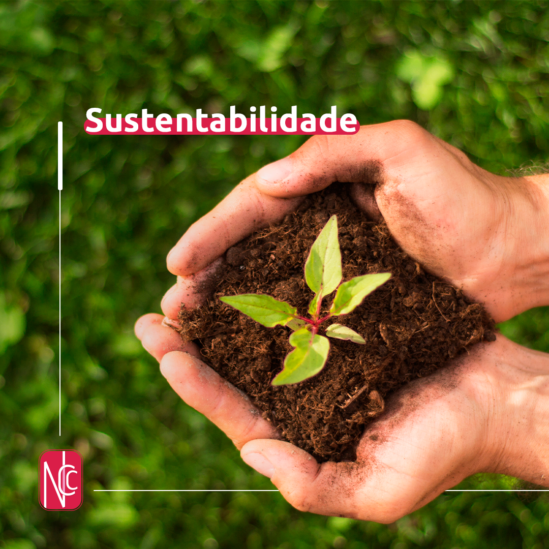 Image representing sustentability